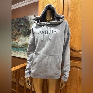 Aritzia Heather Gray Pullover Hoodie